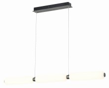 Catkin 339103-30 on.jpg