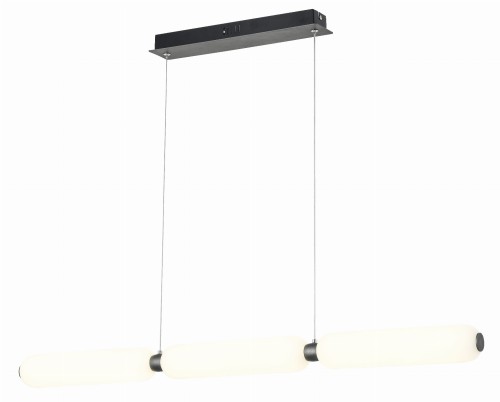 Catkin 339103-30 on.jpg