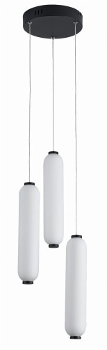 Catkin 339123-30 off.jpg