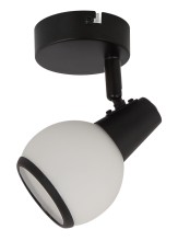 Loris 817401-30 off.jpg