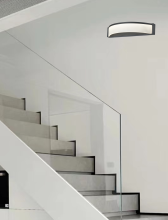 cornelia 230601-30 background.png