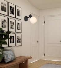 Cortez 807601-30 background.jpg