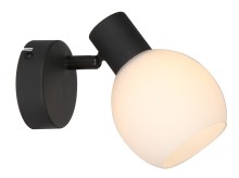 Cortez 807601-30 on.jpg