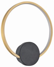 Condida 241101-30 off.jpg