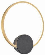 Condida 241101-30 on.jpg