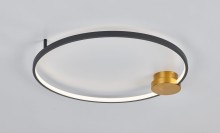 Condida 641101-32 background.jpg