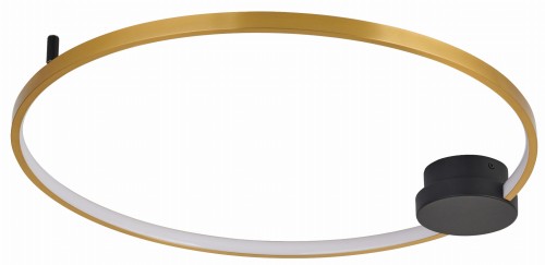 Condida 641101-30 off.jpg