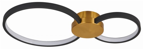 Condida 641102-32 off.jpg