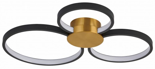 Condida 641103-32 off.jpg