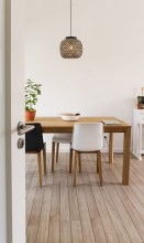 Elaine 342211-30 Background.jpg