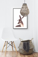 Carmina 342011-30 Background.jpg