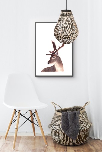 Carmina 342011-30 Background.jpg