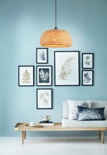 Sorell 344701-11 background.jpg