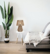 Fumi 545801-11 background.jpg