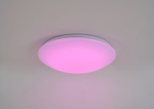 Cari 646201-01 3.jpg