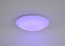 Cari 646201-01 7.jpg