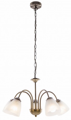 Larisa 131505-04.jpg