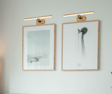 Lester 238301-11 on z tłem.png